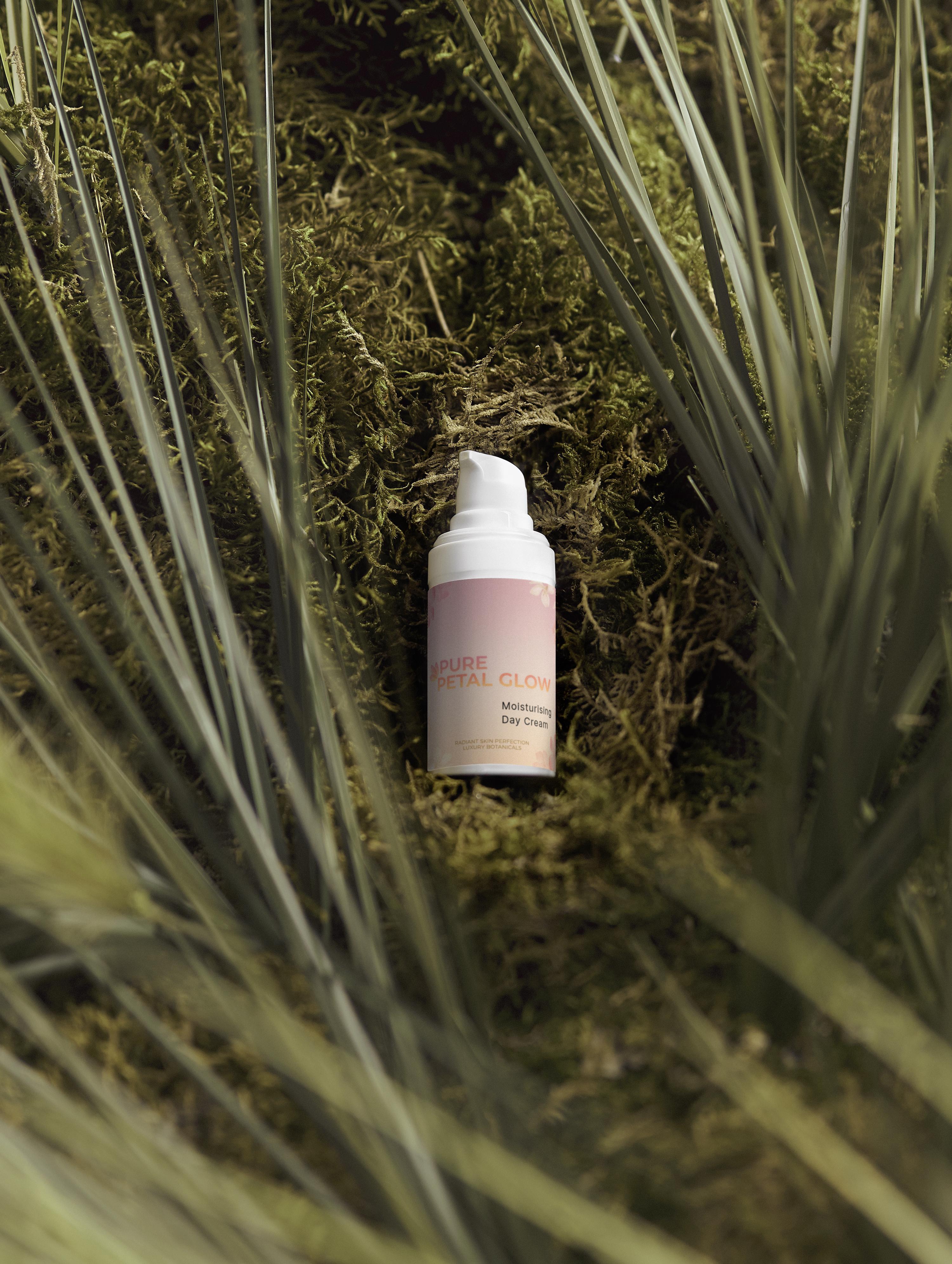 Daily Radiance Collection Box