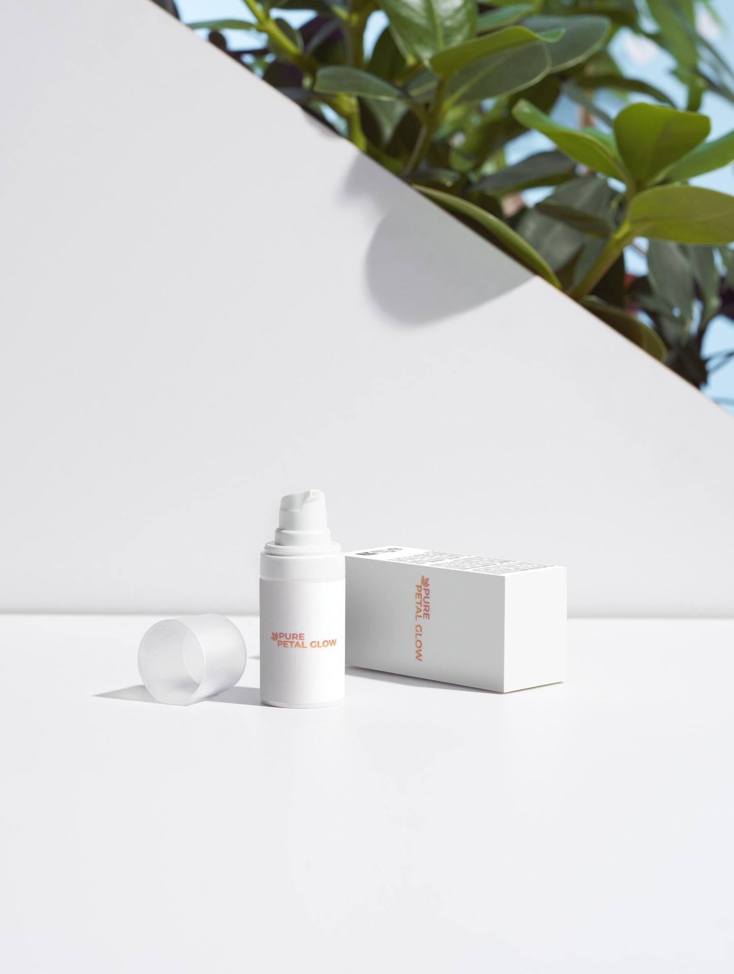 Clear Complexion Collection Box